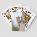 Recherche de regard jeux de cartes Animal