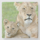Suche nach leo untersetzer Natur