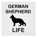 Recherche de berger allemand posters Dog