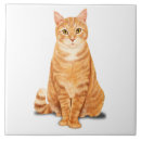 Suche nach orange tiger fliesen Katze