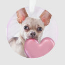 Recherche de chien de chiwawa ornements Animaux