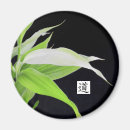 Suche nach bambus magnete Reise