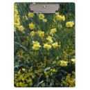 Recherche de jonquilles porte blocs Fleur