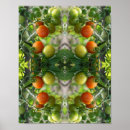 Recherche de tomates art Jardin