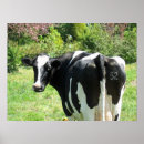 Recherche de un regard posters Photographie