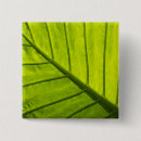 Recherche de feuillage vert badges Feuille
