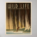 Recherche de vie sauvage posters National