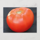 Suche nach tomato postkarten Sommer