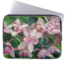 Recherche de papillon tropical coques Orchidée