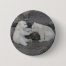 Recherche de cubes badges Ours