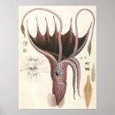 Recherche de octopus posters Retro