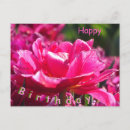 Recherche de rose de tulipe vœux cartes Toute personne