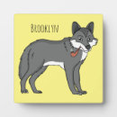 Recherche de loups plaques Loup gris