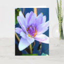 Suche nach flower karten Photography