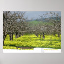 Suche nach obstgarten poster Fotografie