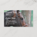 Recherche de cheval de baie Chevaux