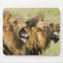 Suche nach ärger mousepads Angriff
