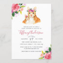 Suche nach babykatze Rosa
