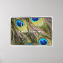 Suche nach feathers leinwandbilder Blau