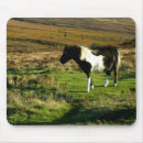 Suche nach pony mousepads Tiere