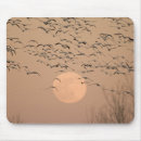 Suche nach wandernd mousepads Natur