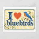 Suche nach blaumeisen postkarten Vögel