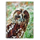 Recherche de hiboux mignons carnets Nature