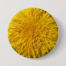 Recherche de tournesol badges Beau