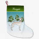 Recherche de italien chaussette de noël Iggy