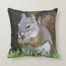 Recherche de colombe coussins Faune