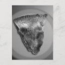 Suche nach apfelkuchen postkarten Nahrung