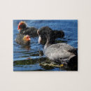 Suche nach babys puzzle Küken