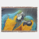 Suche nach macaws Parrot