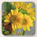 Suche nach sonnenblume untersetzer Natur