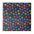 Recherche de chaton adorable carreaux Miaou