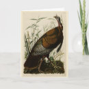 Suche nach von türkey postkarten Illustration