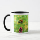 Recherche de scarabées tasses Vert