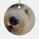 Suche nach schäferhund ornamente Schnee