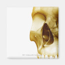 Suche nach menschlicher körper magnete Teil