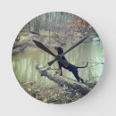 Suche nach waschbär wanduhren Fotografie