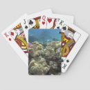 Suche nach tauchen an spiele spielkarten Meer