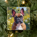 Recherche de bouledogue francais ornements Animal de compagnie