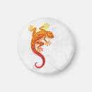 Suche nach gecko magnete Natur