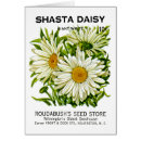 Recherche de marguerite shasta cartes postales Nature