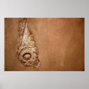 Suche nach hieroglyphe poster Schreiben