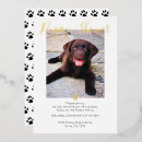 Recherche de adoption de chien invitations Nouveau chiot