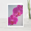 Suche nach rosa orchideen karten Blume