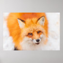 Recherche de algonquin posters Animal