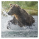 Suche nach lachs fliesen Fischerei