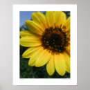 Suche nach digitalfotografie poster Blume